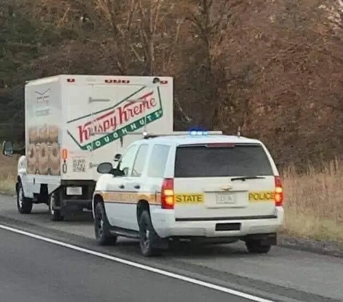 40 Weird And Funny Pics From This Facebook Page Prove That Humans Are Unlike Any Other Species