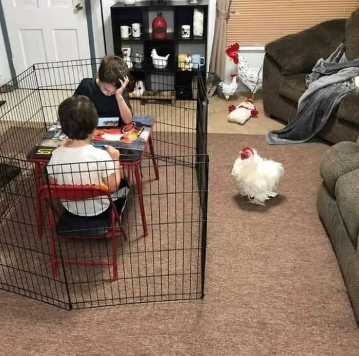 40 Weird And Funny Pics From This Facebook Page Prove That Humans Are Unlike Any Other Species