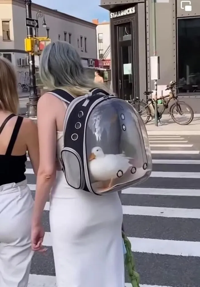 40 Weird And Funny Pics From This Facebook Page Prove That Humans Are Unlike Any Other Species