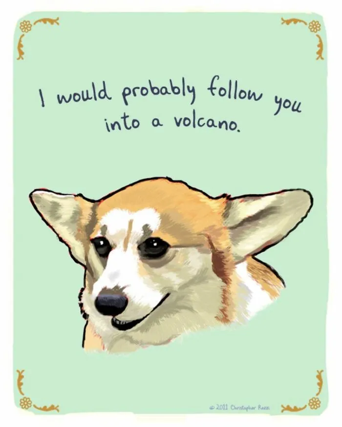 Artist Illustrates Honest Confessions From Pets, And Here Are The 30 Best Ones