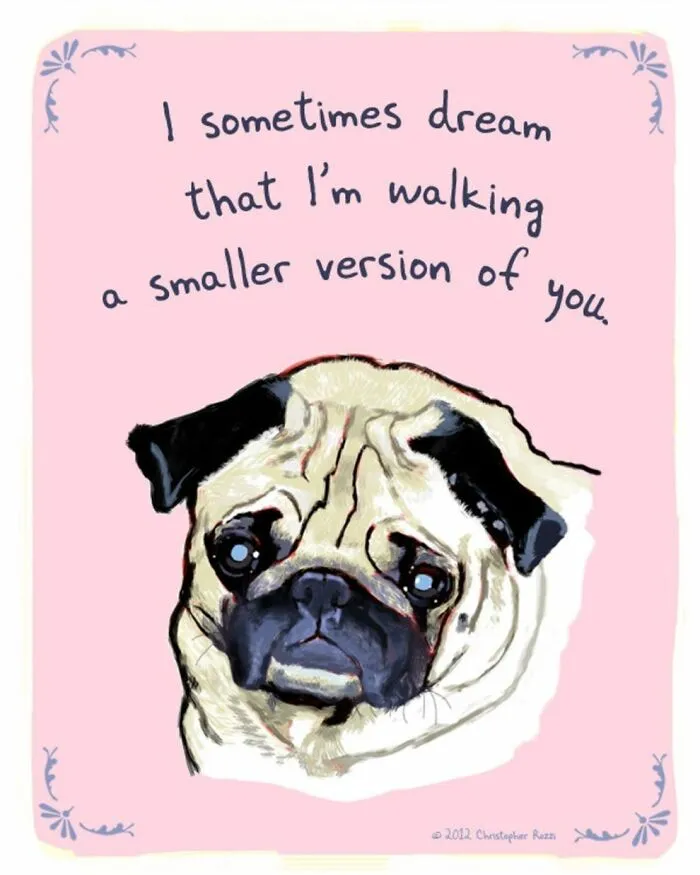 Artist Illustrates Honest Confessions From Pets, And Here Are The 30 Best Ones