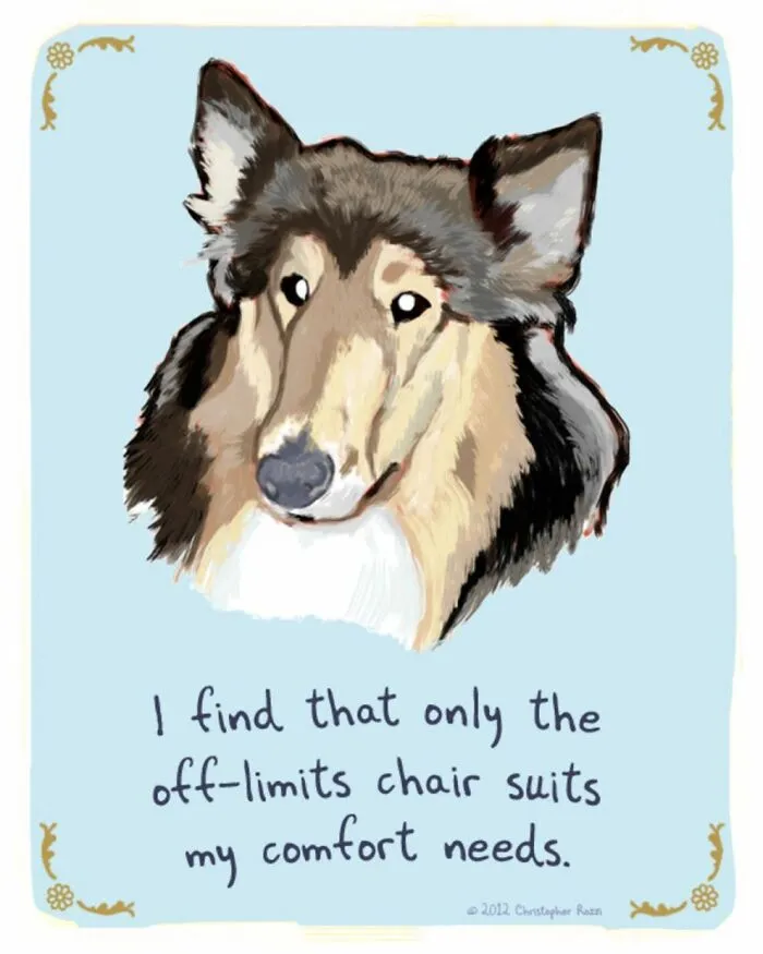 Artist Illustrates Honest Confessions From Pets, And Here Are The 30 Best Ones