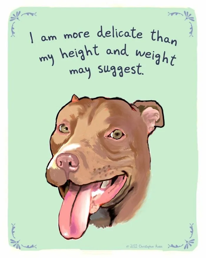Artist Illustrates Honest Confessions From Pets, And Here Are The 30 Best Ones