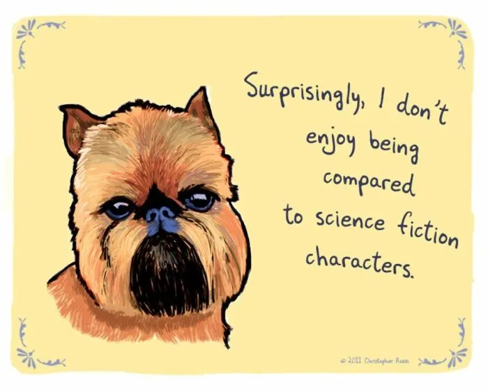 Artist Illustrates Honest Confessions From Pets, And Here Are The 30 Best Ones