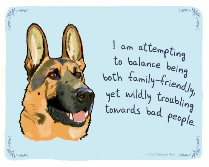 Artist Illustrates Honest Confessions From Pets, And Here Are The 30 Best Ones