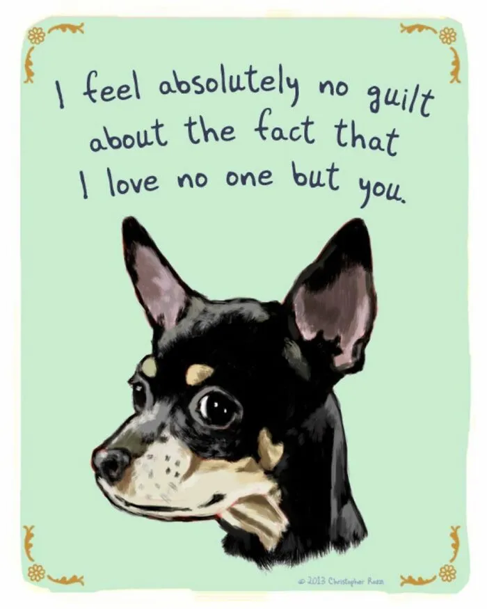 Artist Illustrates Honest Confessions From Pets, And Here Are The 30 Best Ones