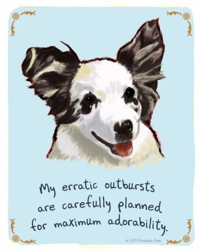 Artist Illustrates Honest Confessions From Pets, And Here Are The 30 Best Ones