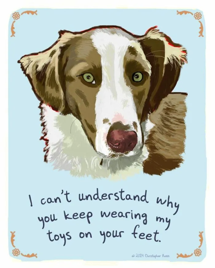Artist Illustrates Honest Confessions From Pets, And Here Are The 30 Best Ones