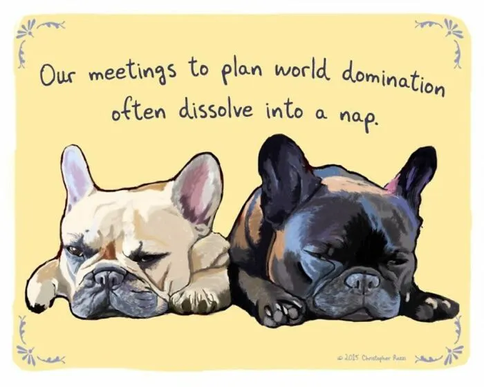 Artist Illustrates Honest Confessions From Pets, And Here Are The 30 Best Ones
