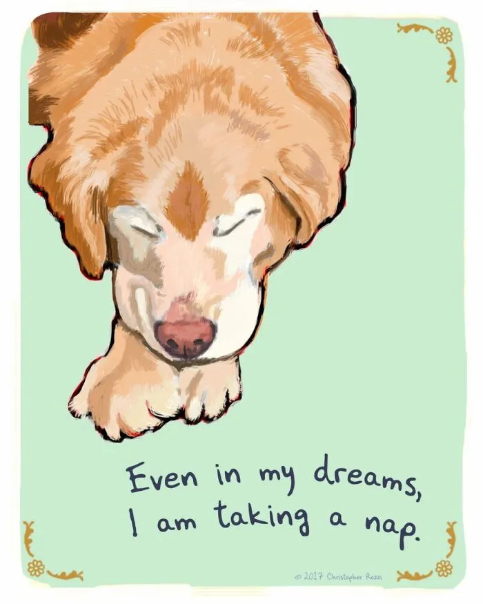 Artist Illustrates Honest Confessions From Pets, And Here Are The 30 Best Ones