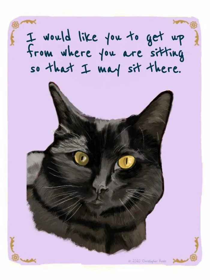 Artist Illustrates Honest Confessions From Pets, And Here Are The 30 Best Ones