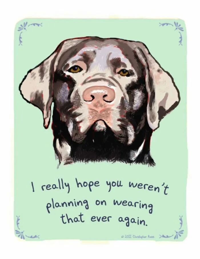 Artist Illustrates Honest Confessions From Pets, And Here Are The 30 Best Ones