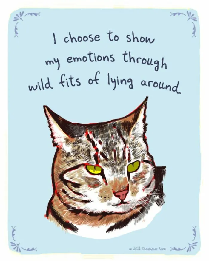 Artist Illustrates Honest Confessions From Pets, And Here Are The 30 Best Ones