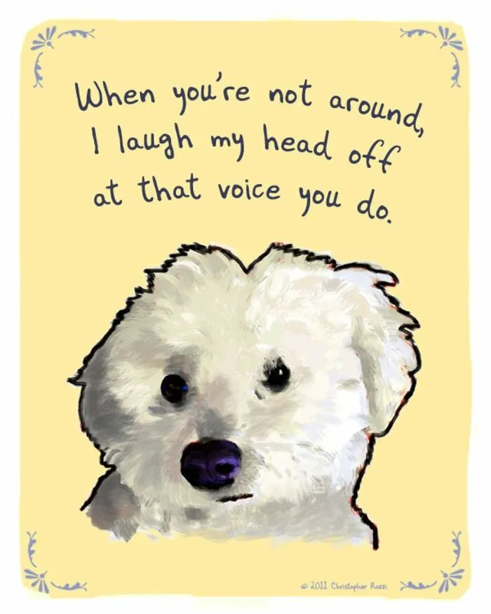 Artist Illustrates Honest Confessions From Pets, And Here Are The 30 Best Ones