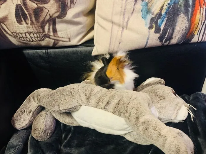 Keanu ♥️