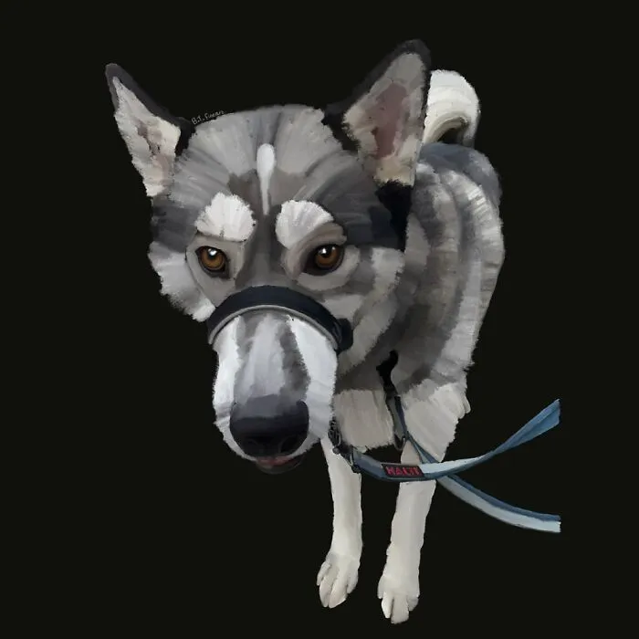 Not My Dog But A Friends, His Name Is Teddy. I’m An Artist By Trade. Drawing  Pets Is My Fave