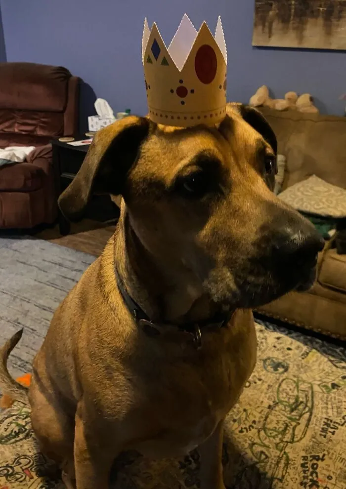 Here’s A Pupper