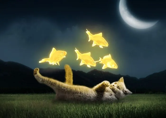 Literal Floating Goldfishes