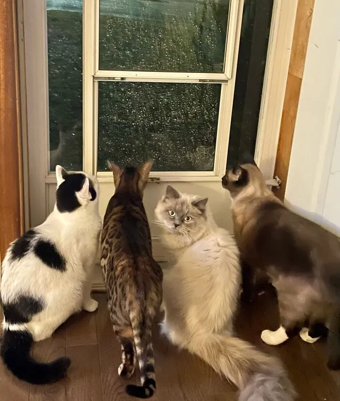 4/5 Boys