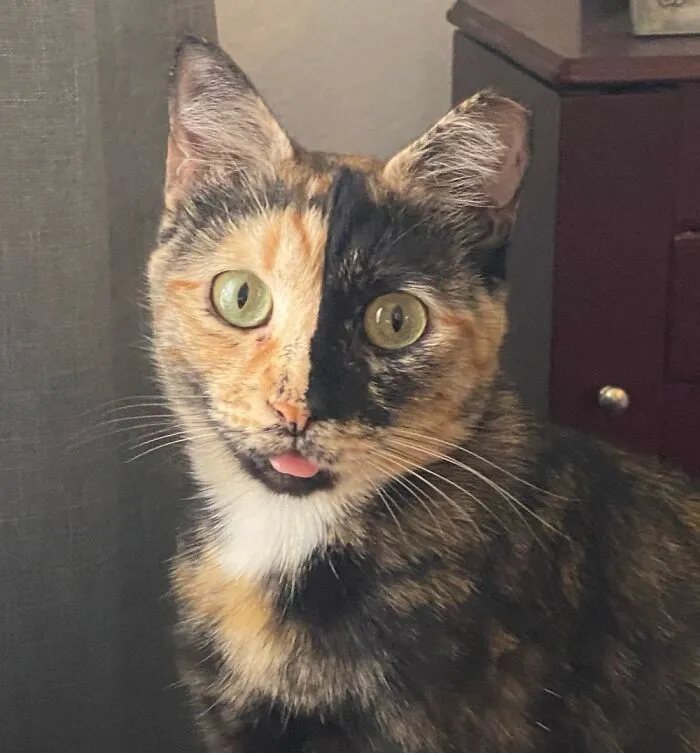 My Sweetest Molly!
