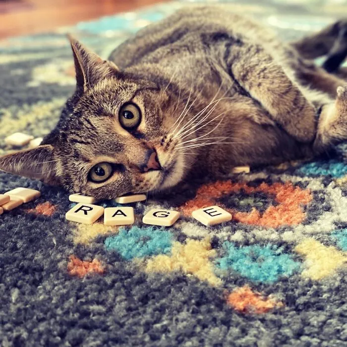 Don’t Be Fooled… She’s Not As Cute As She Looks!