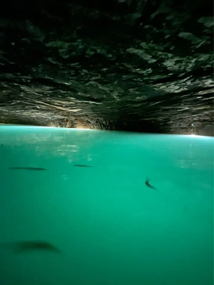 Underground Lake With Fish In It