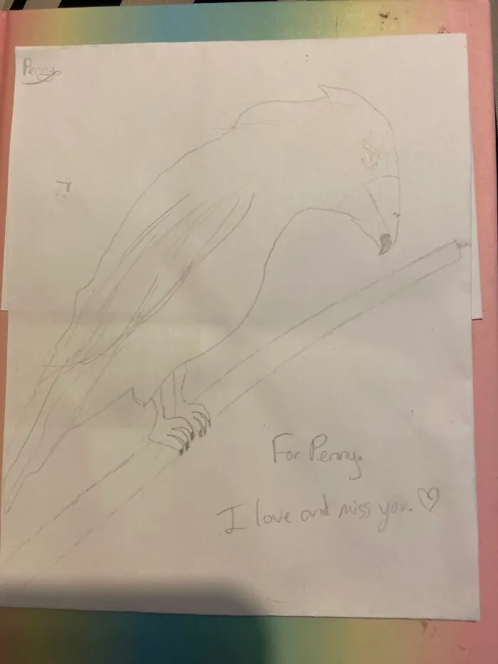 My Bird Penny. Died 3rd February 2022
