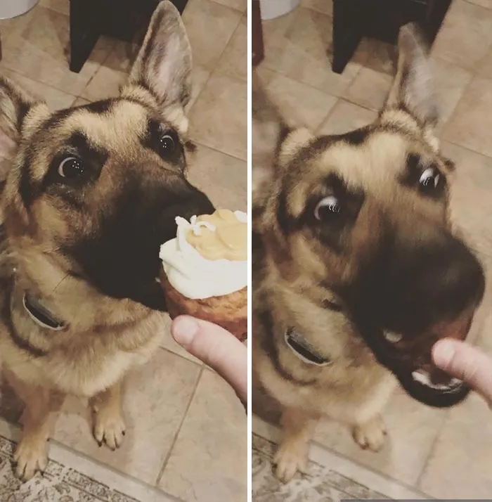 Cupcaaaaaaaaake