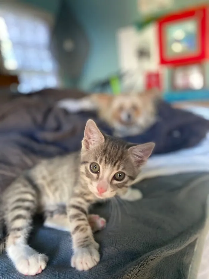 My New Friend