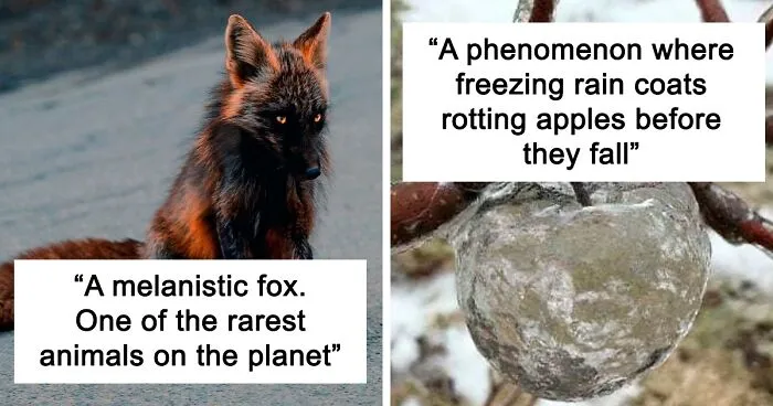 40 Interesting Facts About Practically Everything You Might Not Have Known, Shared By “Fact Point”