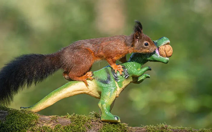 19 Pictures Of Squirrels Interacting With Dinosaurs Taken By Me