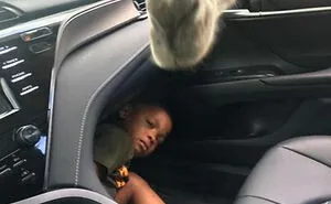 50 Of The Funniest Images From The 'Kids In Predicaments' Facebook Page