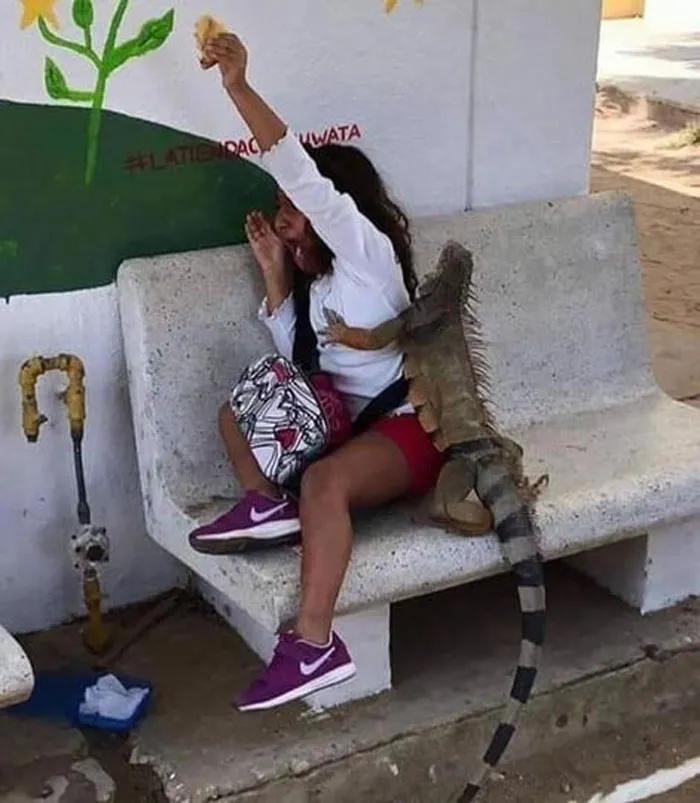 45 Imágenes muy divertidas de la página "Niños en apuros"