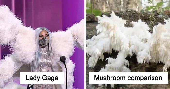 This Girl Is Comparing Lady Gaga's Looks To Mushrooms, And The Resemblance Is Surprising (20 Pics)
