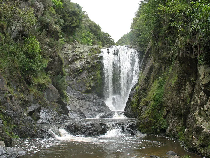 Cómo sobrevivir a una caída en cascada
