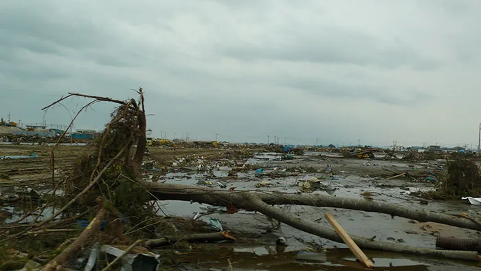 Cómo sobrevivir a un tsunami
