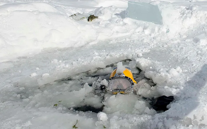 What You Should Do If You Fall Through Ice