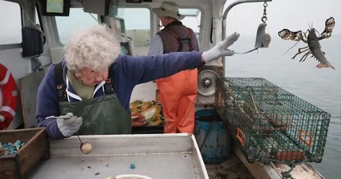 101 Y.O. Woman Is Photographed Throwing Away A Lobster Because It’s Too Small For Harvesting, And People Online Start Memeing It (30 Memes)