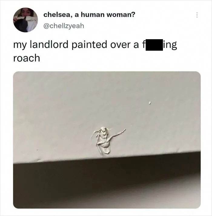 Found This On Instagram