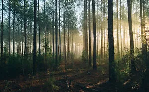 30 People Who Disappeared Share What Happened To Them