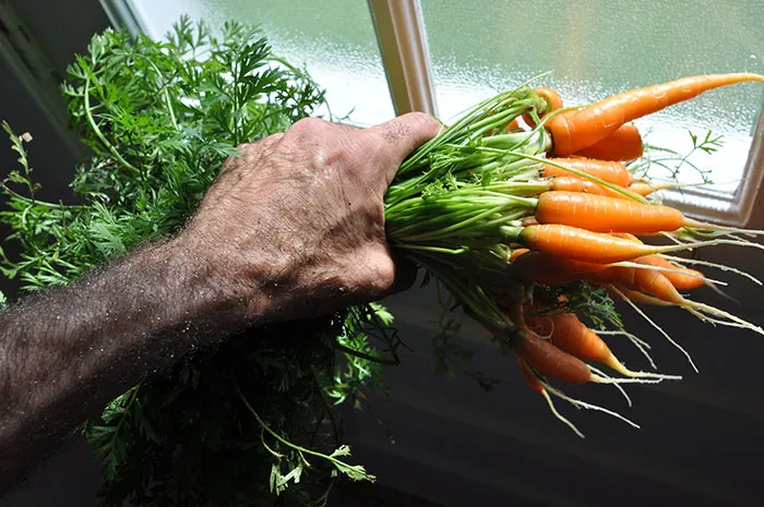 50 Obvious Things People Found Out Hilariously Late In Life