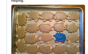 ‘The True Memeing Of Life’: 50 Tastefully Offensive Tweets Shared On This Instagram Page