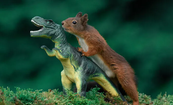 19 Pictures Of Squirrels Interacting With Dinosaurs Taken By Me