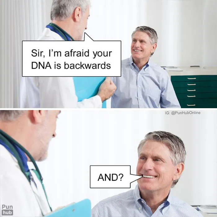 PunHub Once Again Surprises Us With Infuriatingly Funny Puns (40 New Pics)