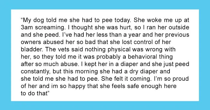 14 Heartwarming Instances Of Rescue Dogs Building Trust With Their Humans, Shared In This Online Thread