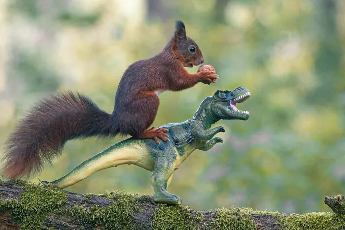 19 Pictures Of Squirrels Interacting With Dinosaurs Taken By Me