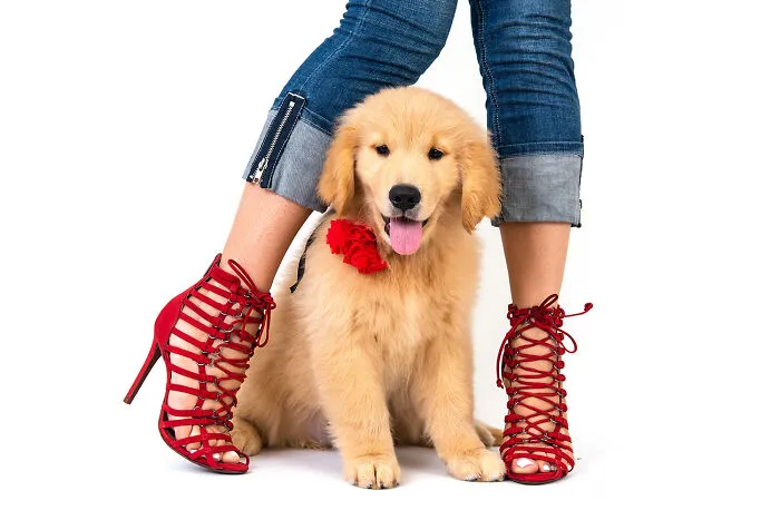 Red For A Happy Day