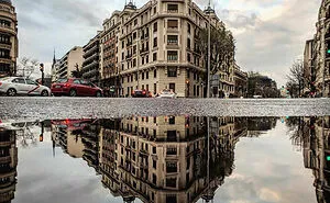 I Discover Hidden Parallel Worlds In Puddles And Other Reflections On My Smartphone