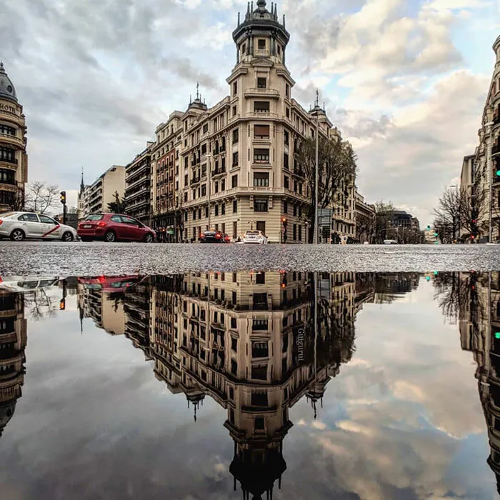 I Discover Hidden Parallel Worlds In Puddles And Other Reflections On My Smartphone