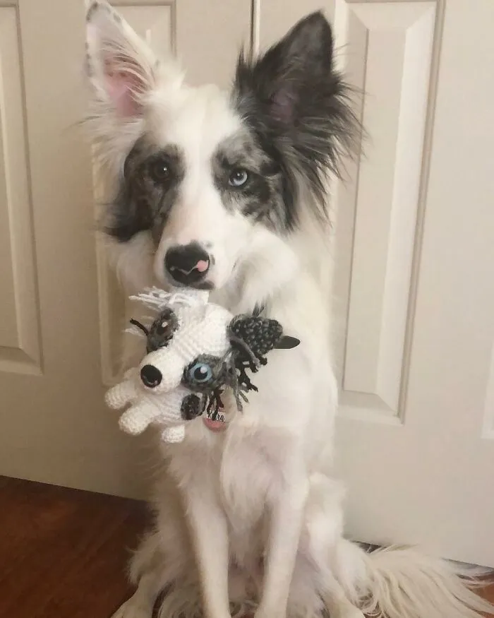 29 Stuffed Animals That I Created Based On Other People's Pets